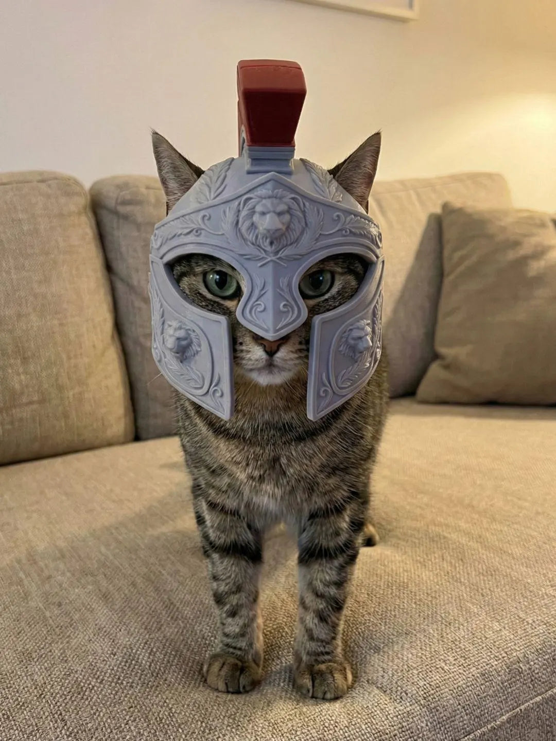 Cat Knight Helmet – 3D Printed Pet Costume, Funny Armor Hat for Cats & Small Dogs, Medieval Pet Accessory