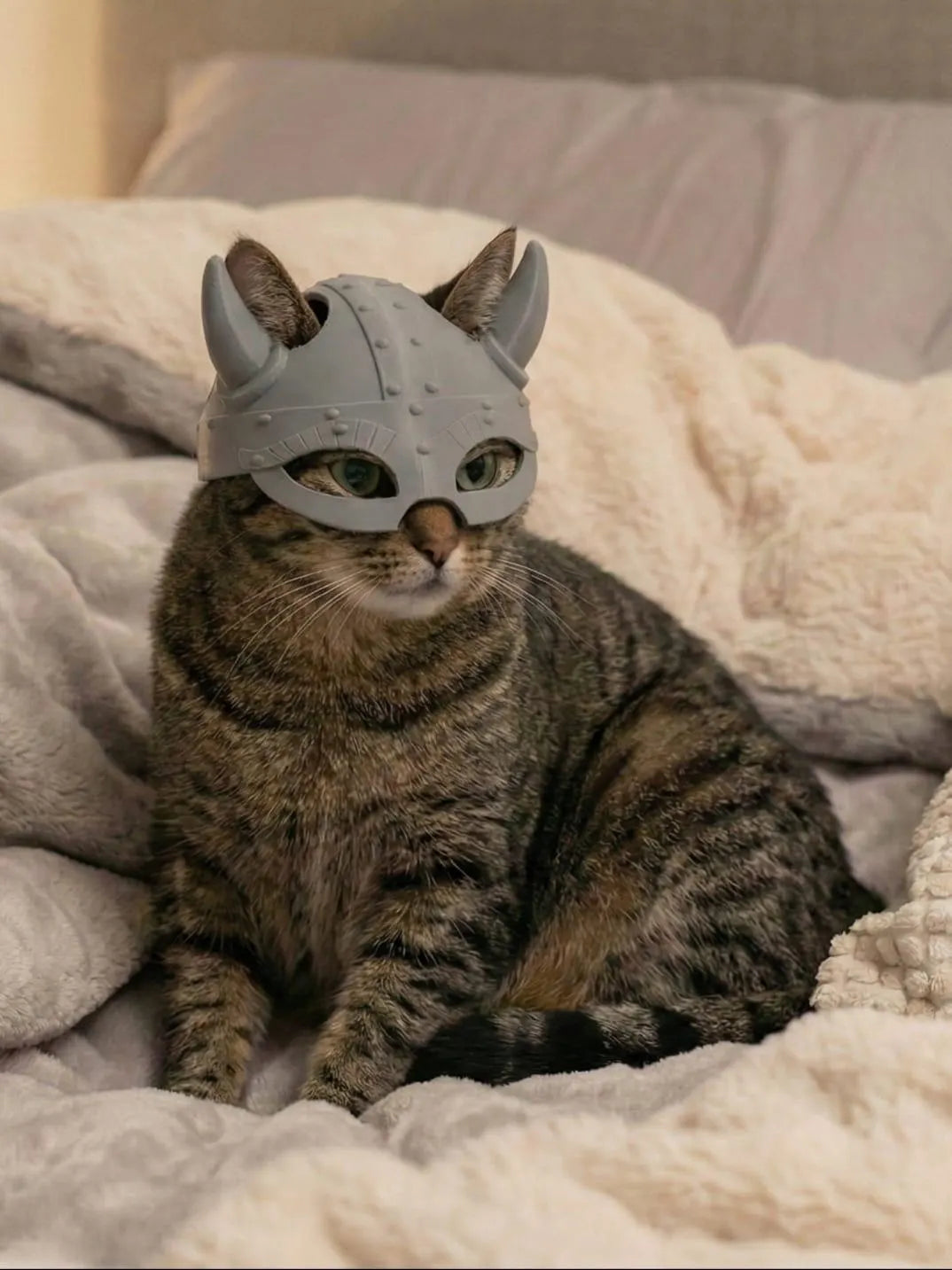 Viking Cat Helmet – 3D Printed Pet Costume | Cute Cat Hat with Horns | Funny Pet Accessory